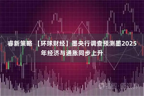 睿新策略 【环球财经】墨央行调查预测墨2025年经济与通胀同步上升