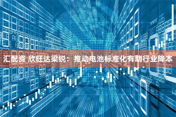 汇配资 欣旺达梁锐：推动电池标准化有助行业降本
